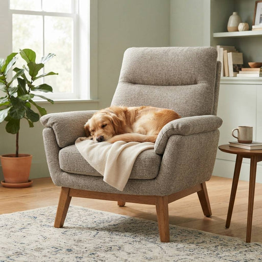 ScratchFree Relax Chair